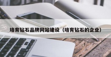 培育钻石品牌网站建设（培育钻石的企业）