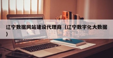 辽宁数据网站建设代理商（辽宁数字化大数据）